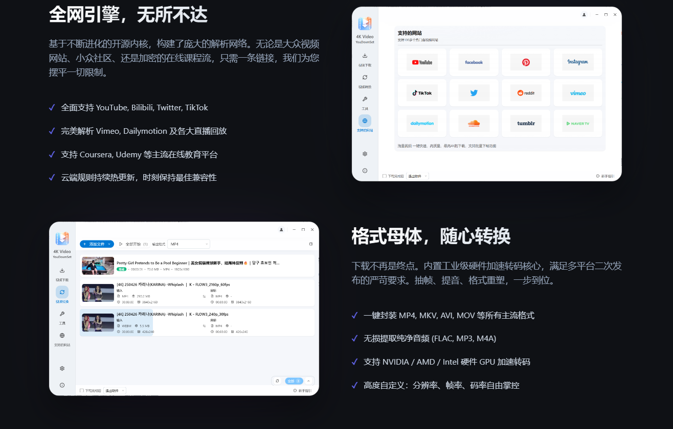 YouDownSet 丨 视频网站下载器